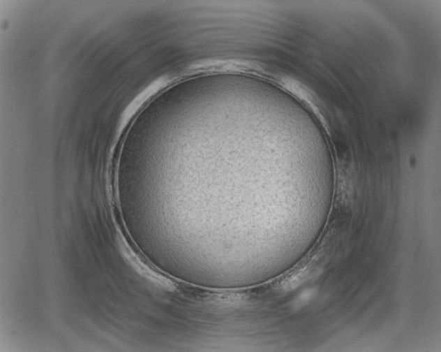 X0000064751090200602131220