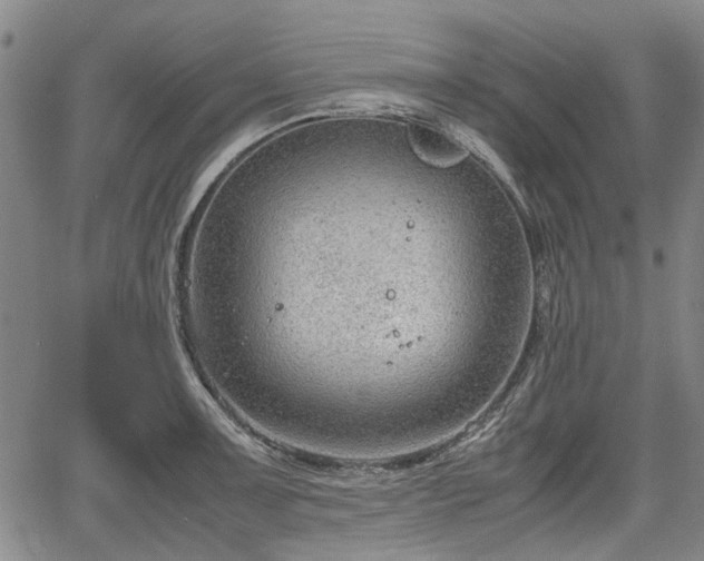 X0000064751091200602131220