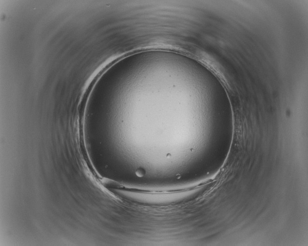 X0000064751092200602131220