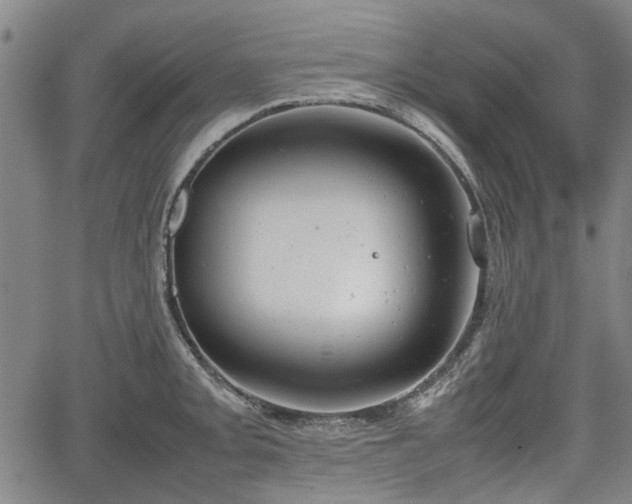 X0000064751093200602131220