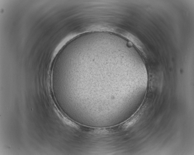 X0000064751094200602131220