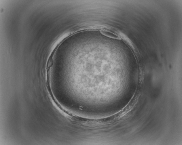 X0000064751095200602131220