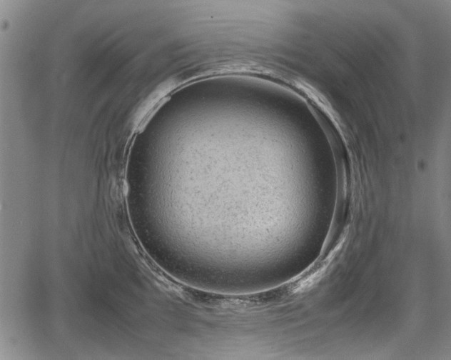 X0000064751097200602131220