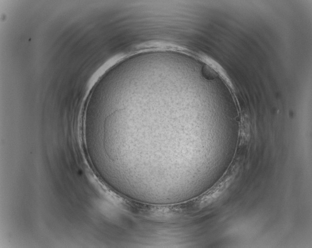 X0000064751098200602131220