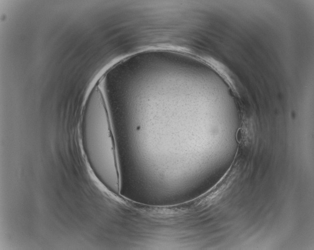 X0000064751100200602131220