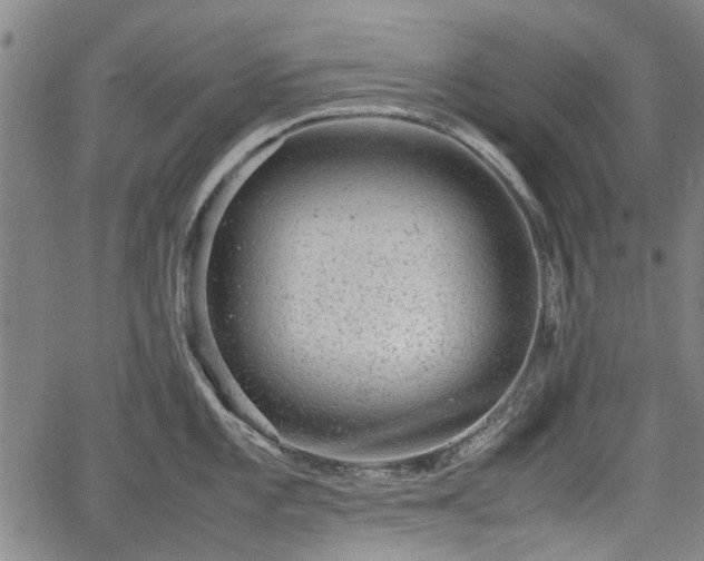 X0000064751101200602131220