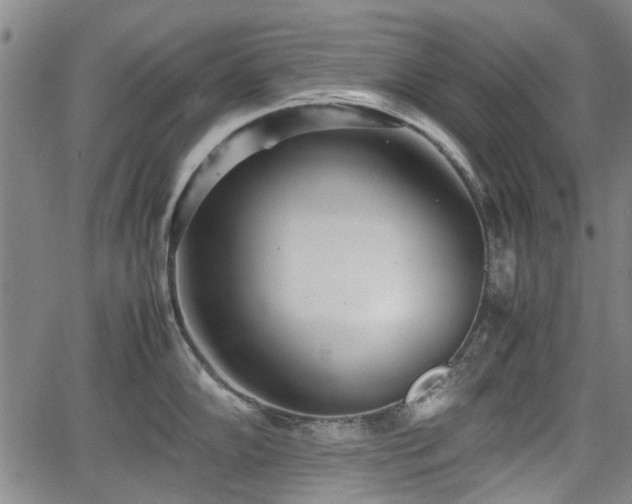 X0000064751102200602131220