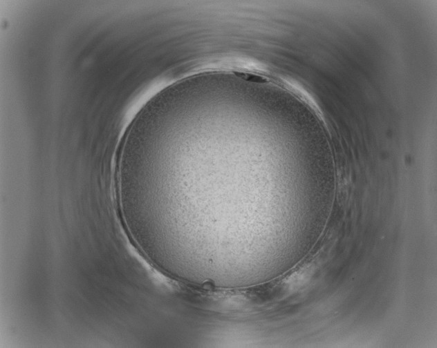 X0000064751103200602131220