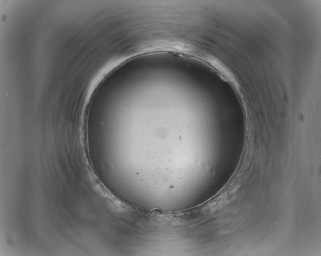 X0000064751104200602131220