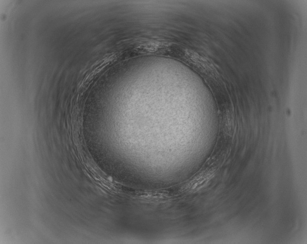 X0000064751105200602131219