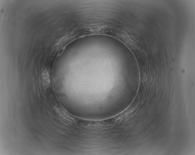 X0000064751106200602131219