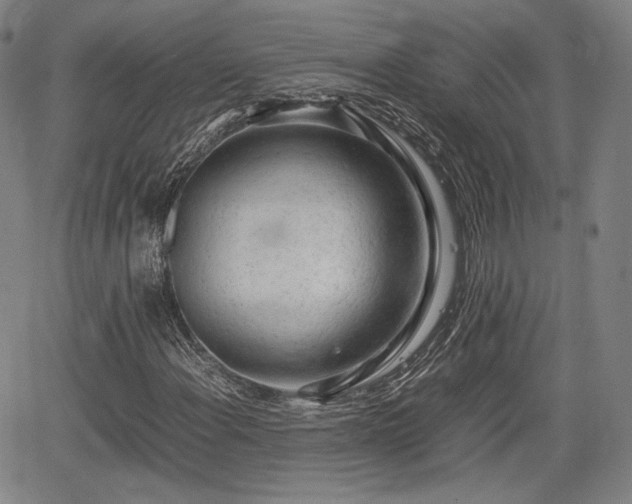 X0000064751108200602131219