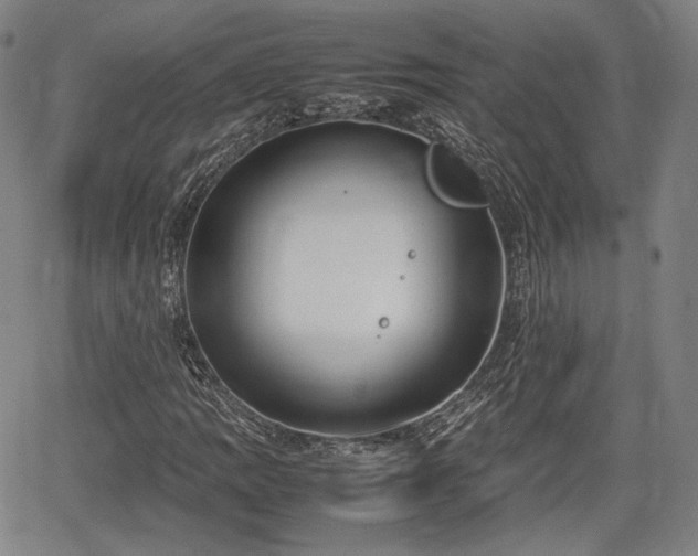 X0000064751109200602131219