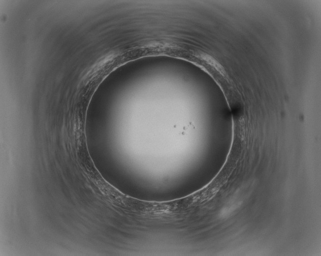 X0000064751111200602131219