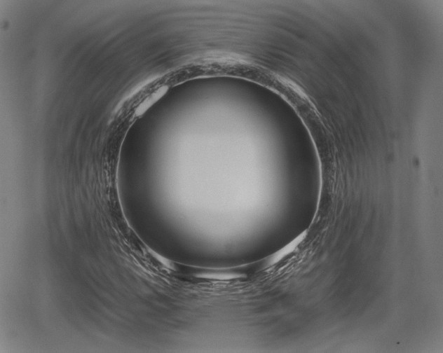 X0000064751112200602131219