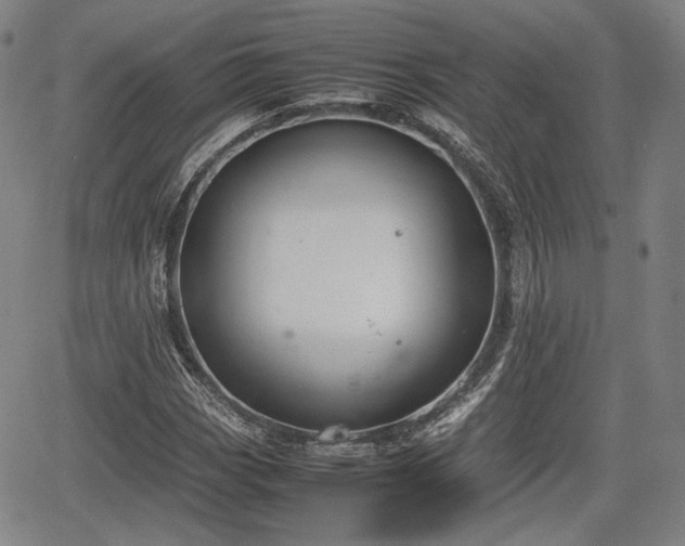 X0000064751113200602131219