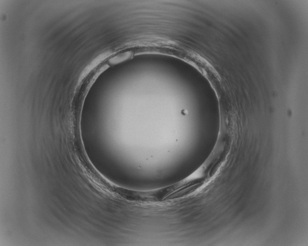 X0000064751114200602131219