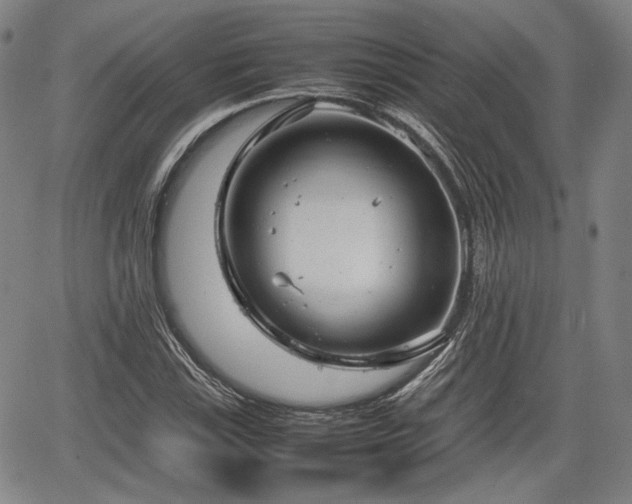 X0000064751115200602131219