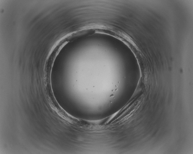 X0000064751116200602131219