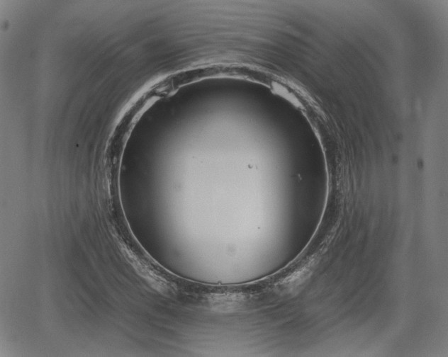 X0000064751118200602131219