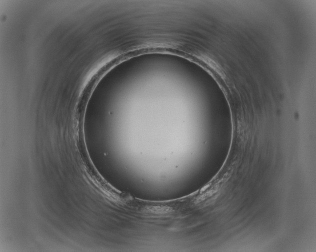 X0000064751119200602131220