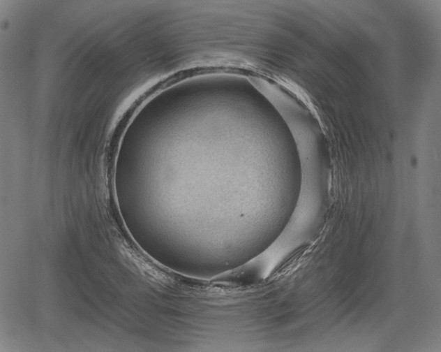 X0000064751120200602131220