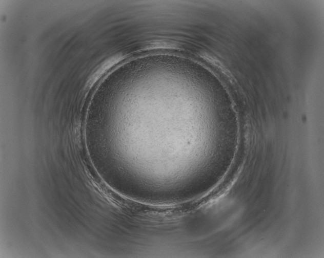 X0000064751121200602131220