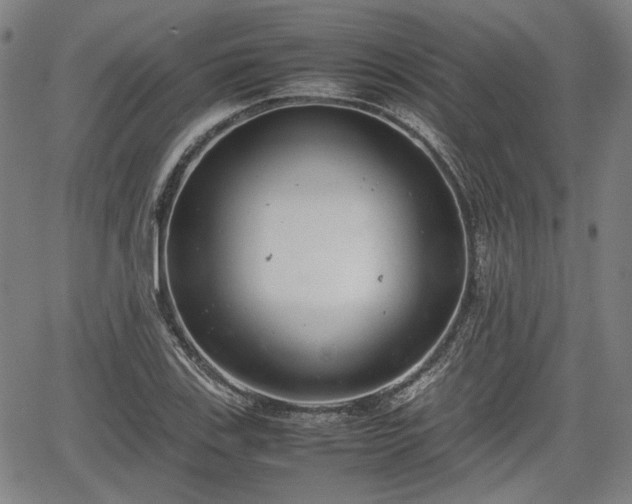 X0000064751123200602131220