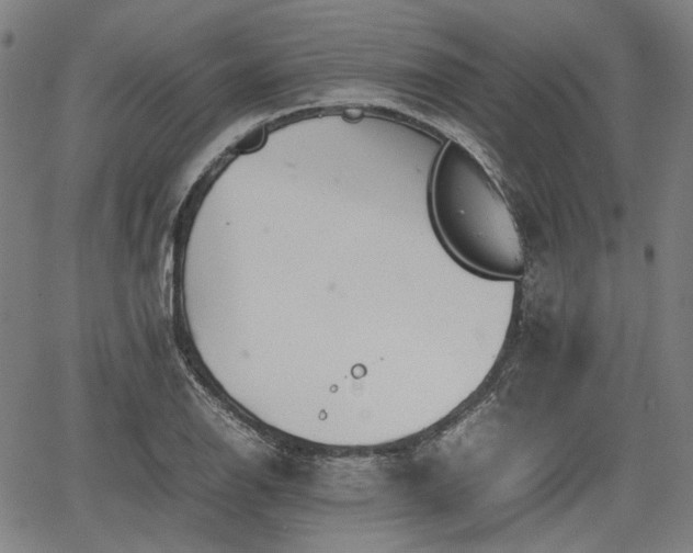 X0000064751126200602131220