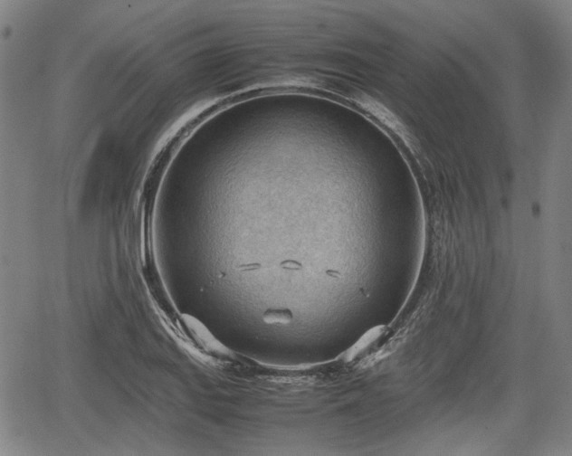 X0000064751127200602131220