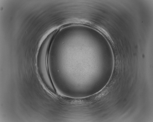 X0000064751128200602131220