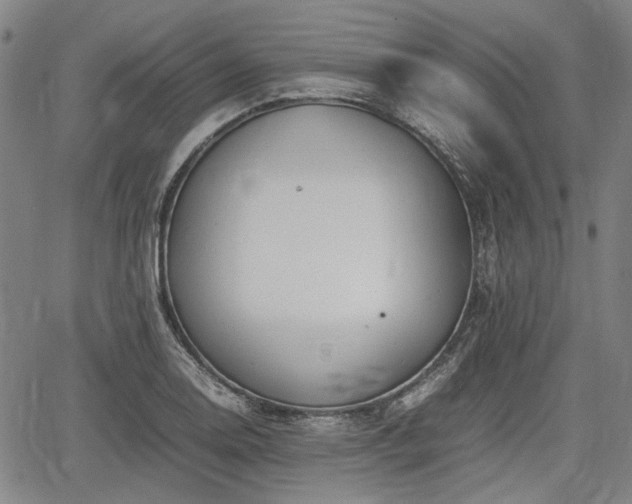 X0000064751130200602131220