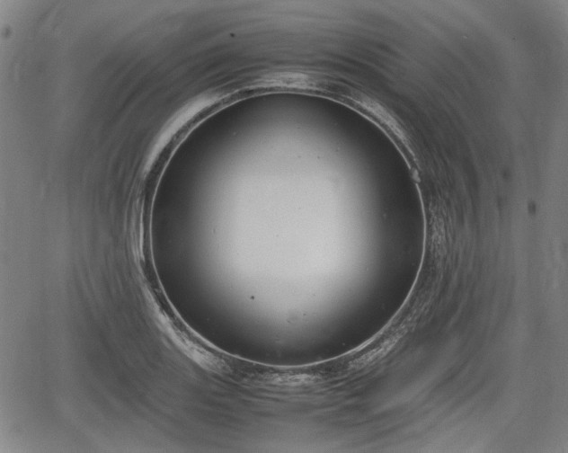 X0000064751131200602131220