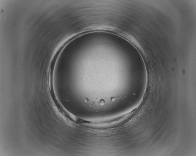 X0000064751132200602131220