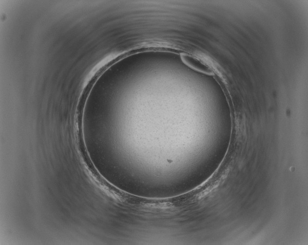 X0000064751133200602131220