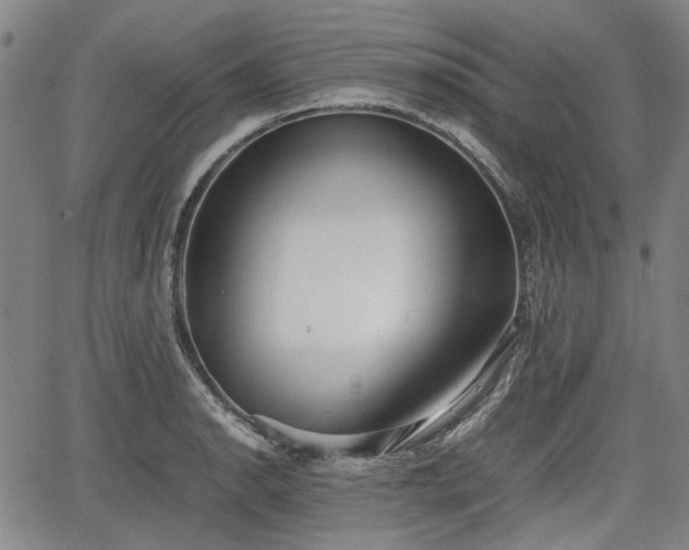 X0000064751134200602131220