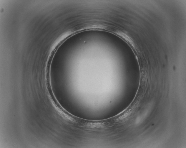 X0000064751135200602131220