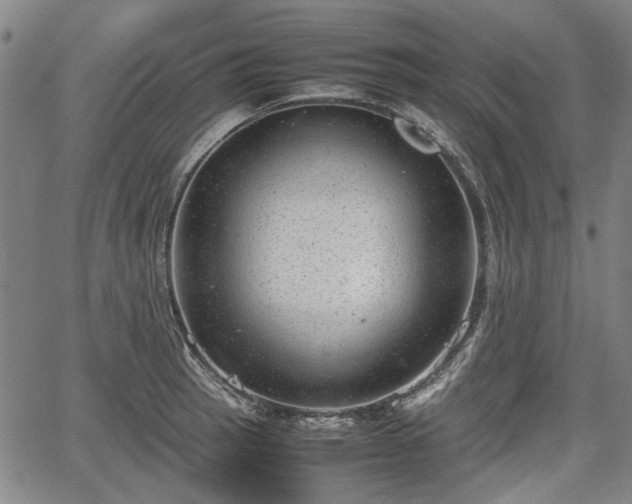 X0000064751137200602131220