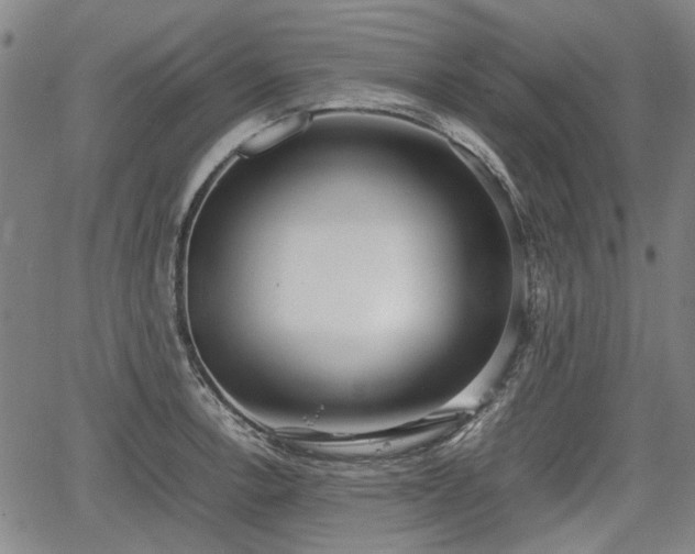 X0000064751138200602131220