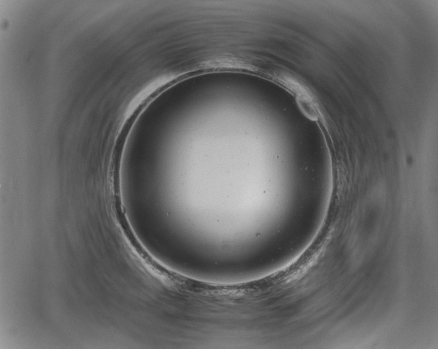 X0000064751141200602131220