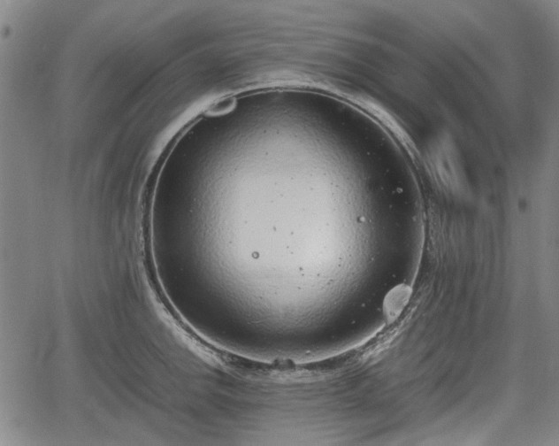 X0000064751142200602131220