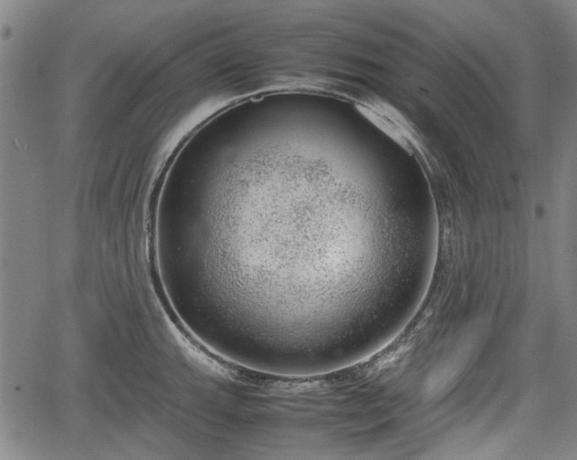 X0000064751143200602131220