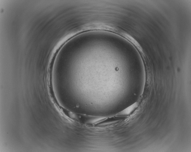 X0000064751144200602131220