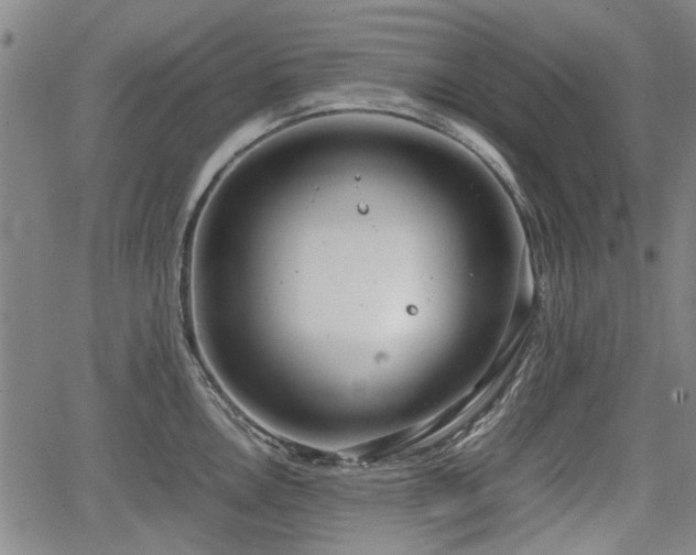 X0000064751146200602131220