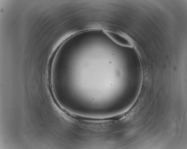 X0000064751147200602131220