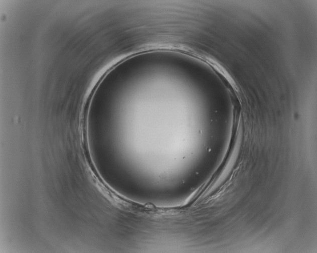 X0000064751148200602131220