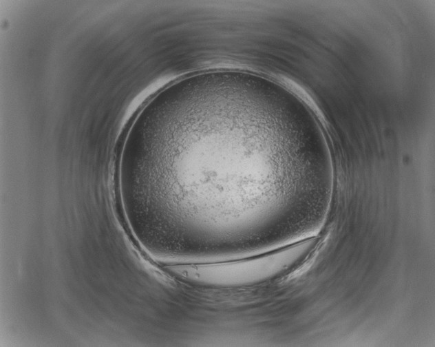 X0000064751149200602131220