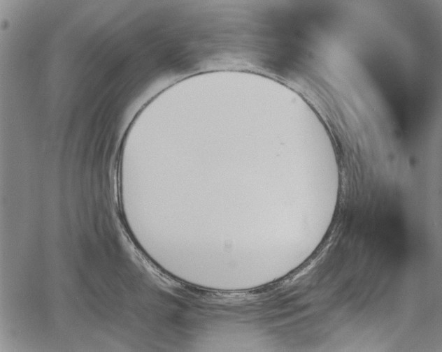 X0000064751150200602131220