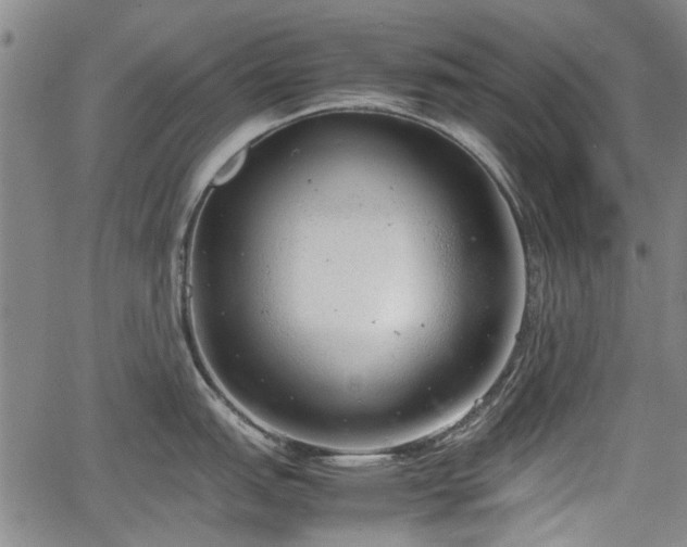 X0000064751151200602131220