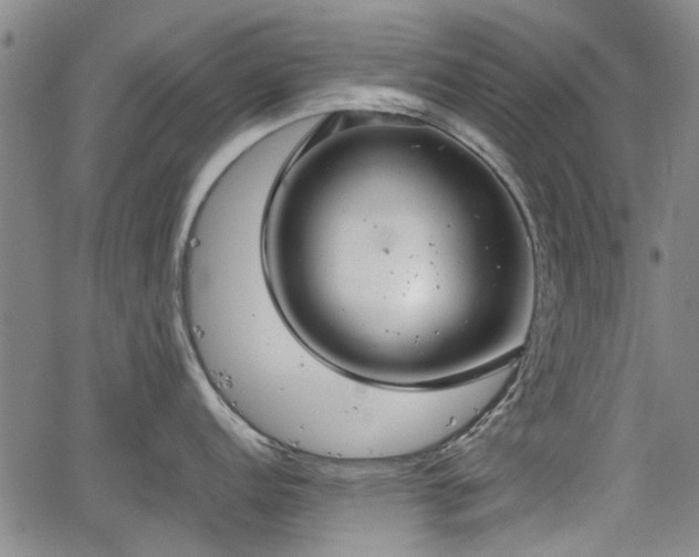 X0000064751152200602131220